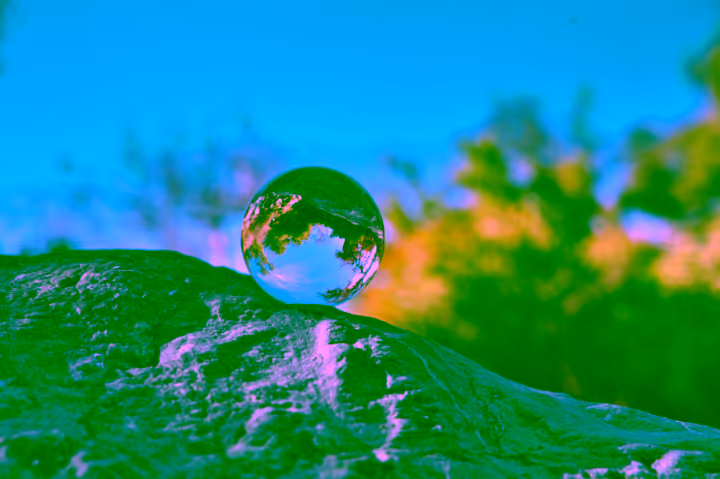 agile cilture beautiful view of the surrounding nature