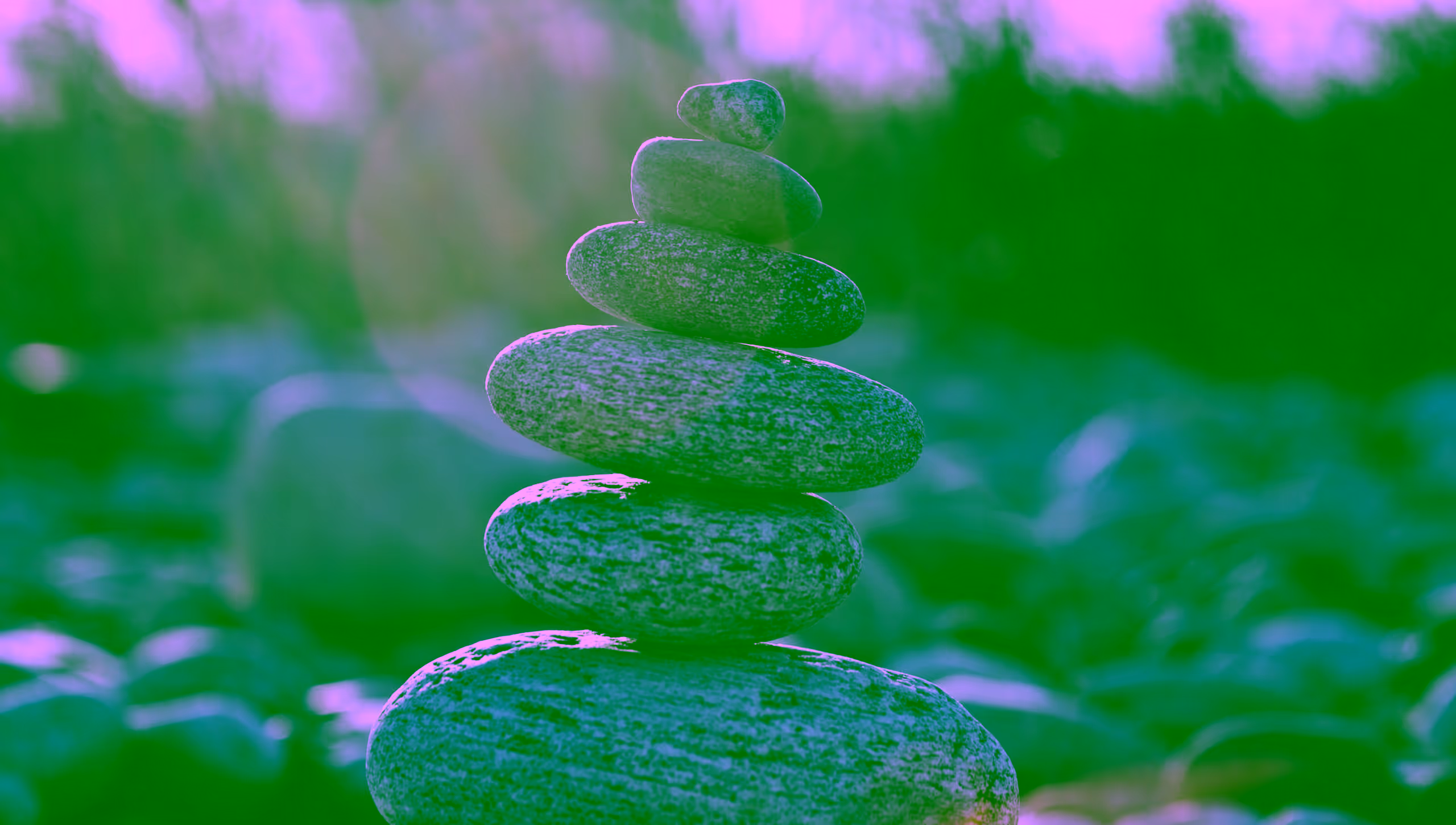 agile culture services
