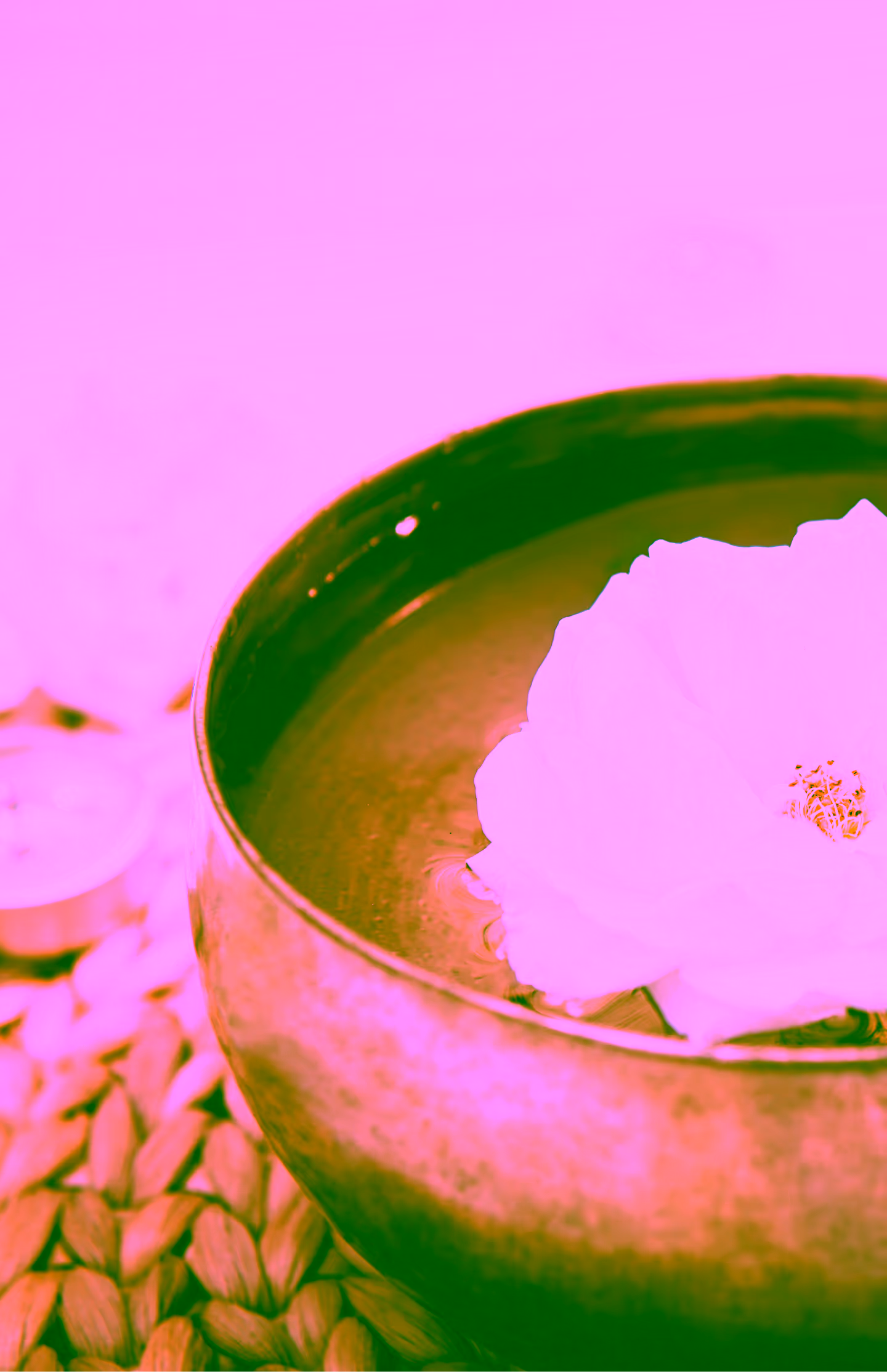 agile culture tibetan singing bowl with floating in water rose